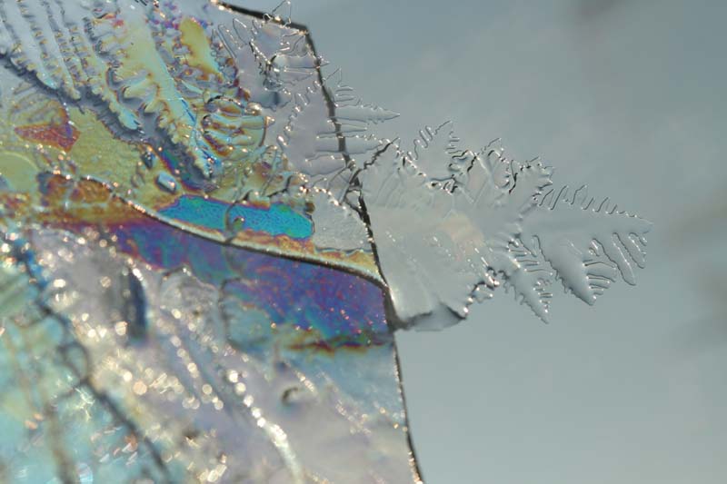 c0177785_1553166.jpg