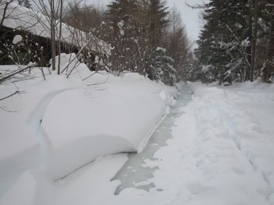 観測史上最高の積雪量となった雪の日 3日目_d0133485_14102567.jpg
