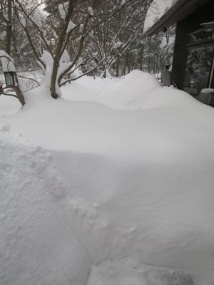 観測史上最高の積雪量となった雪の日 3日目_d0133485_14123497.jpg