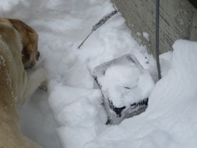観測史上最高の積雪量となった雪の日 3日目_d0133485_14243314.jpg