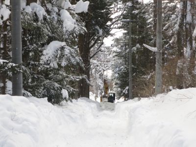 観測史上最高の積雪量となった雪の日 3日目_d0133485_15332353.jpg