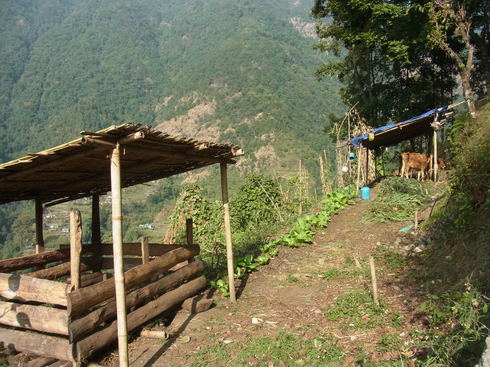a0207588_2311161.jpg