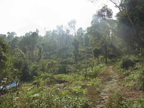 a0207588_23344055.jpg