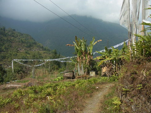 a0207588_2335145.jpg