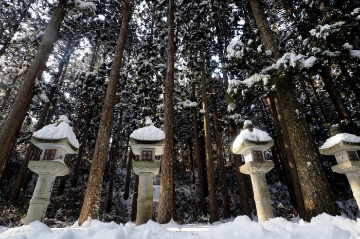 雪の高野山_c0022089_19495898.jpg