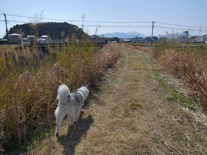 c0049299_19373924.jpg