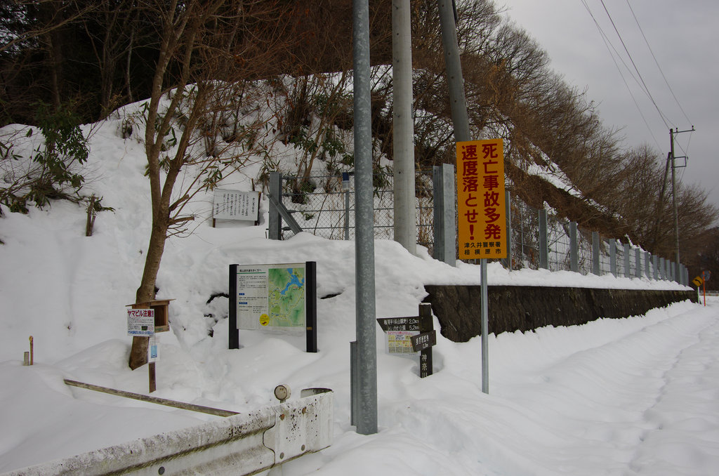 a0158802_22115457.jpg