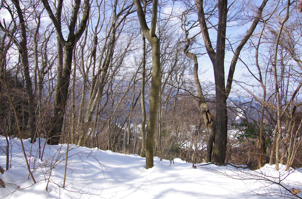 a0158802_22592672.jpg