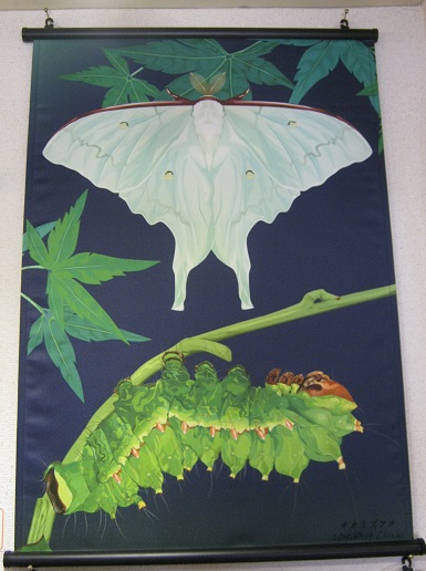 たまごの工房企画展 第4回 - mozo mozo - 虫・蟲 展 その6_e0134502_13330813.jpg