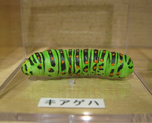 たまごの工房企画展 第4回 - mozo mozo - 虫・蟲 展 その6_e0134502_13333563.jpg