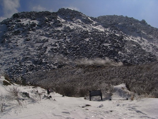 f0187402_19013.jpg