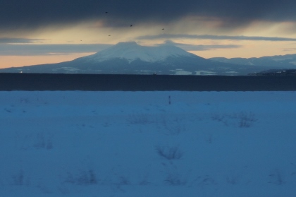 乗り鉄旅行２０１４年２月①　カシオペアスイート_c0149120_15511377.jpg