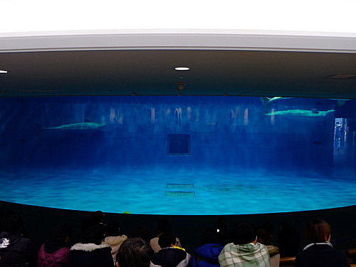 「島根・有福温泉から　　島根海洋館アクアスと江津らしい景色」_a0000029_13233287.jpg