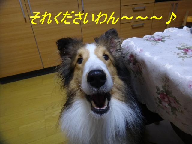バレンタインと雪かきおさぼり➀_e0195743_015782.jpg