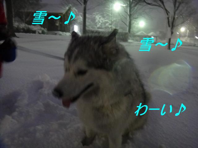 バレンタインと雪かきおさぼり➀_e0195743_0174578.jpg