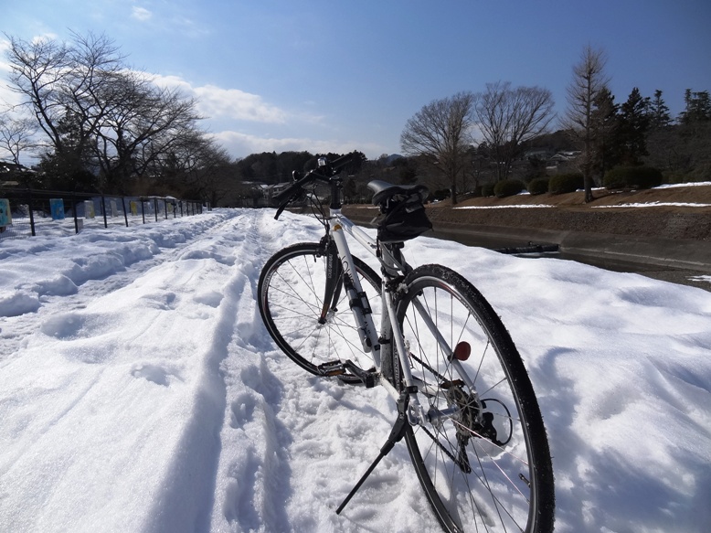 残雪が残る南浅川_b0015651_2264154.jpg