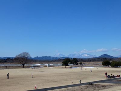 b0220251_17114118.jpg