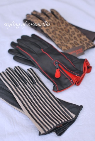 Samoneta gloves _d0078355_9593192.jpg