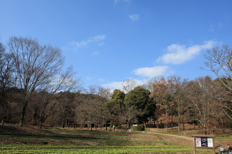 c0272958_2211441.jpg