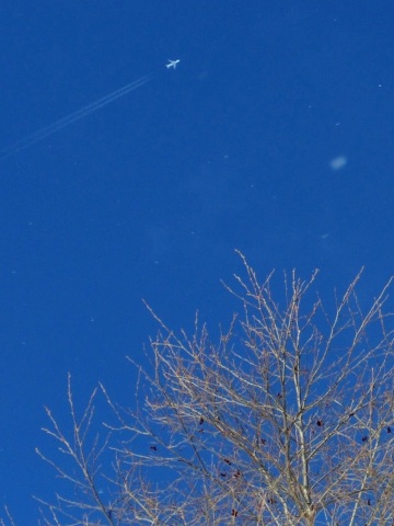 e0045768_214879.jpg