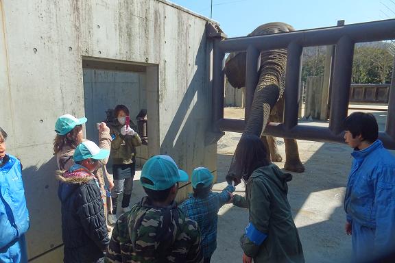 廃棄される竹を動物園へ・・・　_e0272869_22310176.jpg