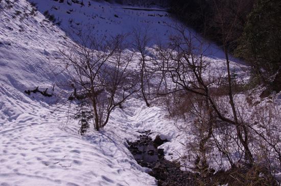 大雪の後で_e0167571_1948529.jpg