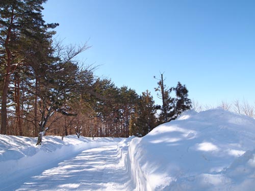 a0224382_23154168.jpg