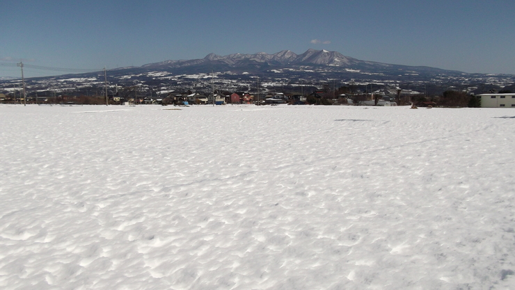 c0212083_22504337.jpg