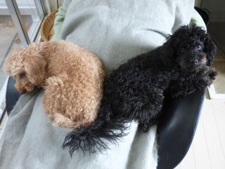 2014年2月23日 お仕事です_b0098584_10152116.jpg