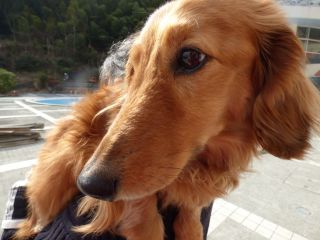 2014年2月23日 お仕事です_b0098584_1092065.jpg