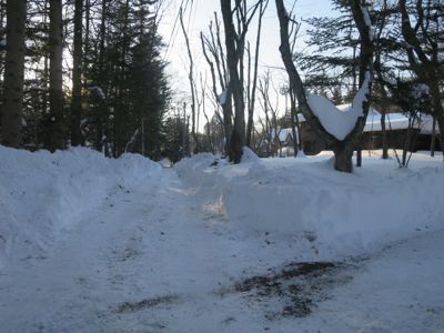 観測史上最高の積雪量となった雪の日 (その後)_d0133485_8442191.jpg