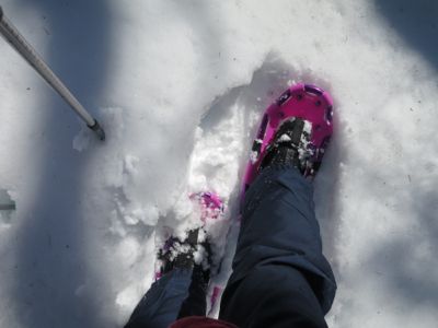 観測史上最高の積雪量となった雪の日 (その後)_d0133485_8483680.jpg