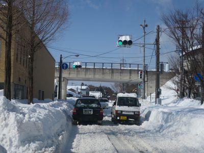 観測史上最高の積雪量となった雪の日 (その後)_d0133485_912112.jpg