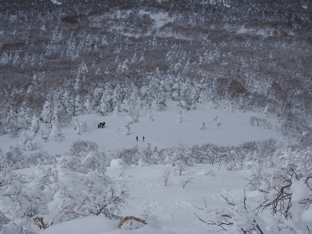 徳舜瞥山、2月23日_f0138096_2041094.jpg