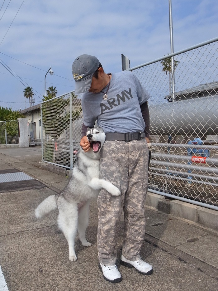 てっちゃんと遊ぼう♪_c0049299_22363813.jpg