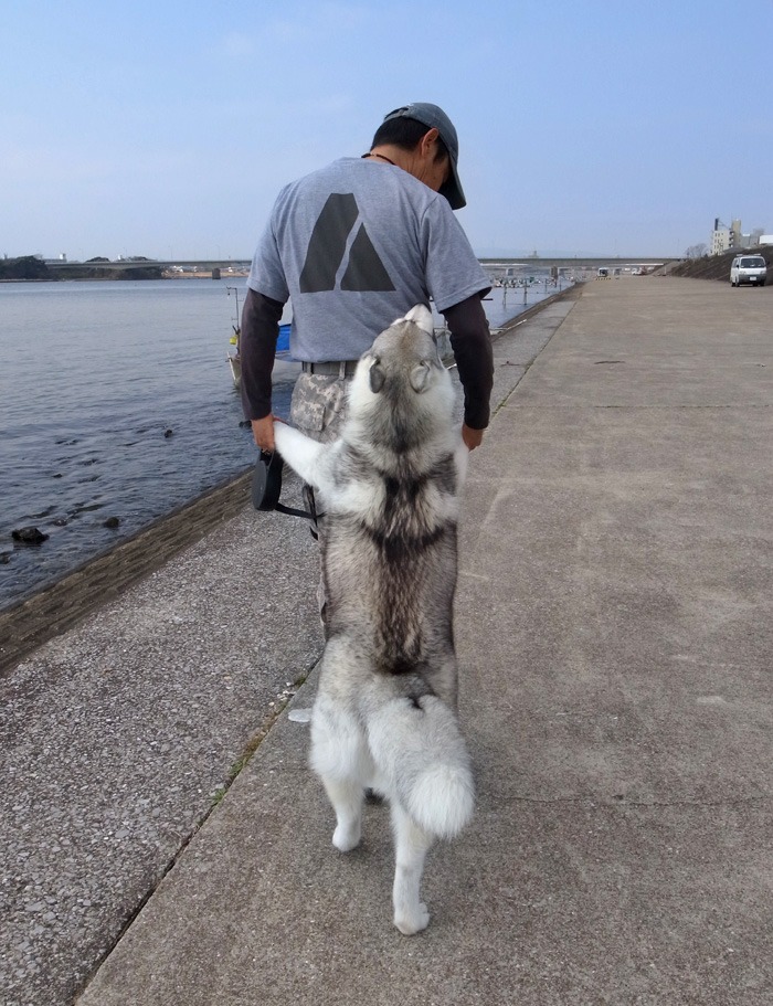 てっちゃんと遊ぼう♪_c0049299_22432434.jpg