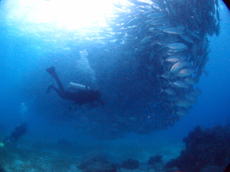 e0115199_1747196.jpg