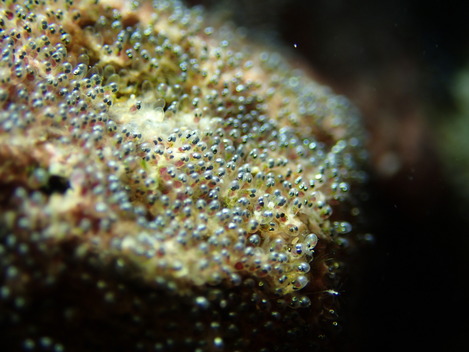 e0115199_182409.jpg