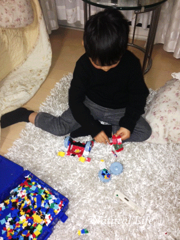 b0162000_15462245.gif