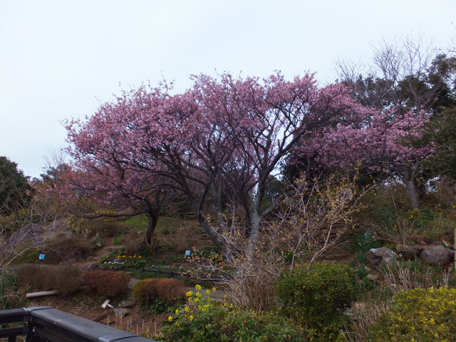 a0271502_9423986.jpg