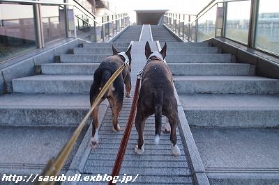 日が延びてきました_e0145805_18232881.jpg