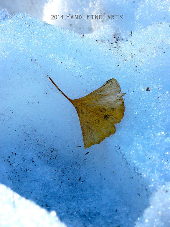 b0147808_181082.jpg