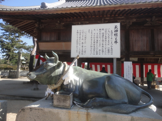 今治市の綱敷天満神社と志島ヶ原と梅林の様子…2016/1/10_f0231709_14362292.jpg