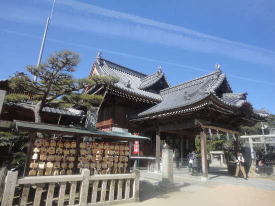 今治市の綱敷天満神社と志島ヶ原と梅林の様子…2016/1/10_f0231709_14364686.jpg