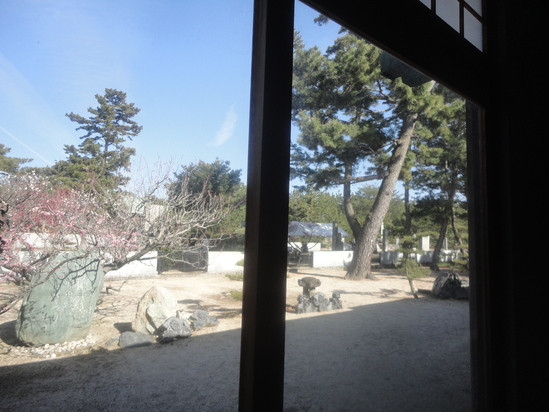 今治市の綱敷天満神社と志島ヶ原と梅林の様子…2016/1/10_f0231709_14401168.jpg