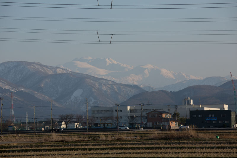a0278914_1843543.jpg