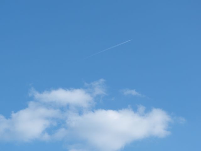 a0188023_656341.jpg