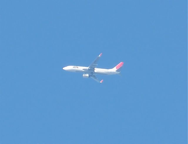 a0188023_659426.jpg