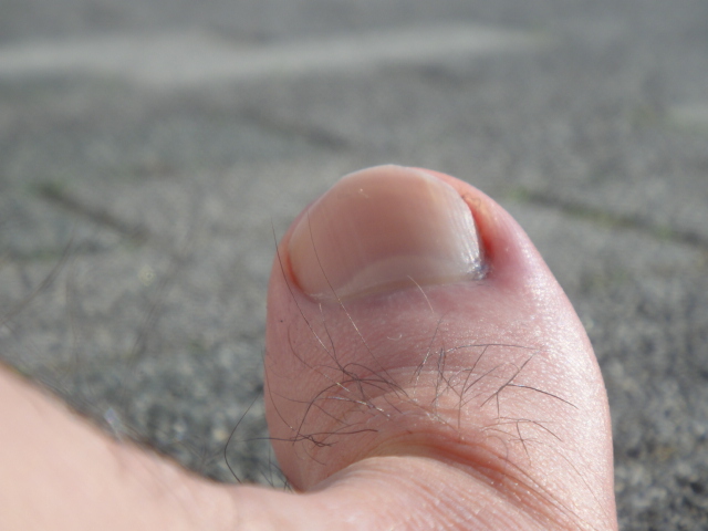 c0189724_17272451.jpg
