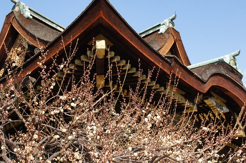 お礼参り ~北野天満宮(京都)~_c0235725_22504626.jpg